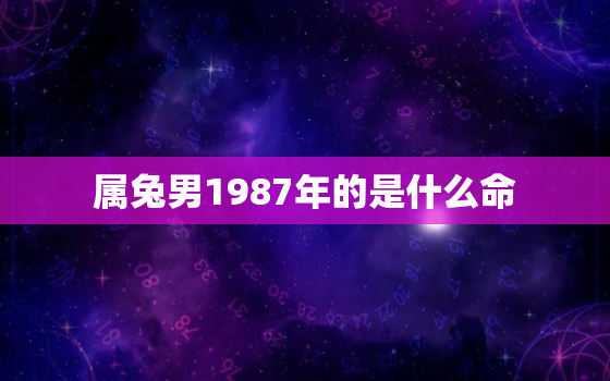 属兔男1987年的是什么命，1987年属兔男性