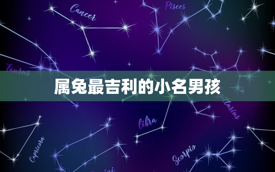 属兔最吉利的小名男孩，属兔
小名