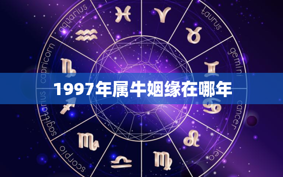 1997年属牛姻缘在哪年，97年属牛人注定的婚姻