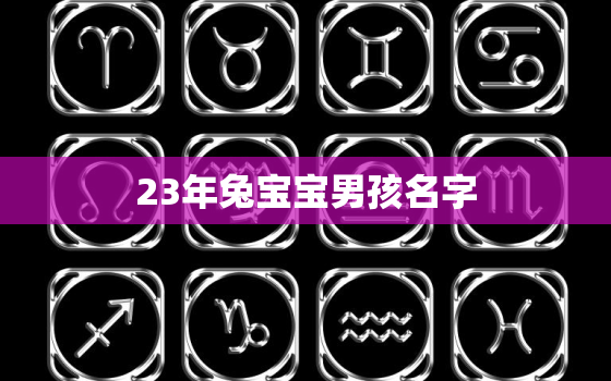 23年兔宝宝男孩名字，23年的兔宝宝