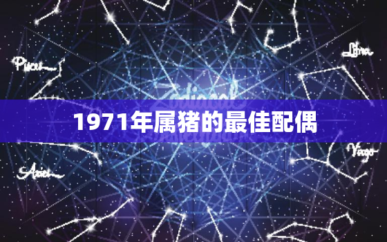 1971年属猪的最佳配偶，属猪的最佳婚配