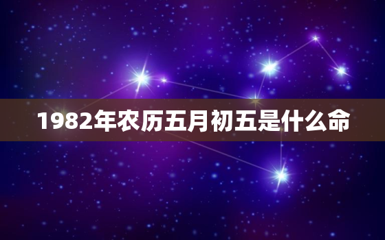 1982年农历五月初五是什么命，1982年农历五月初五是什么命运