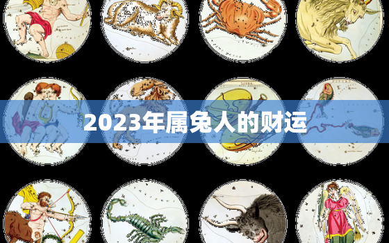 2023年属兔人的财运，2023年属兔的人运势