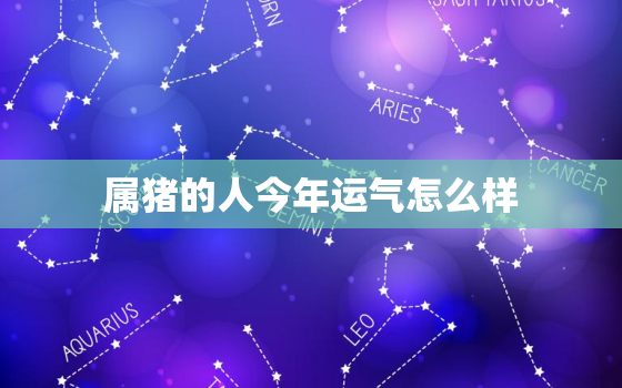 属猪的人今年运气怎么样，属猪的人今年运气好不好