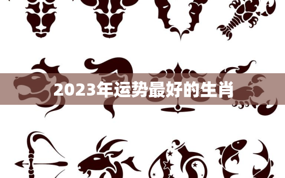 2023年运势最好的生肖，麦玲玲2023年兔年运程