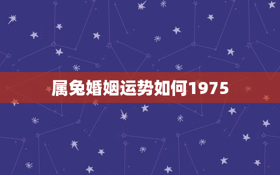 属兔婚姻运势如何1975，1975属兔的婚姻和命运