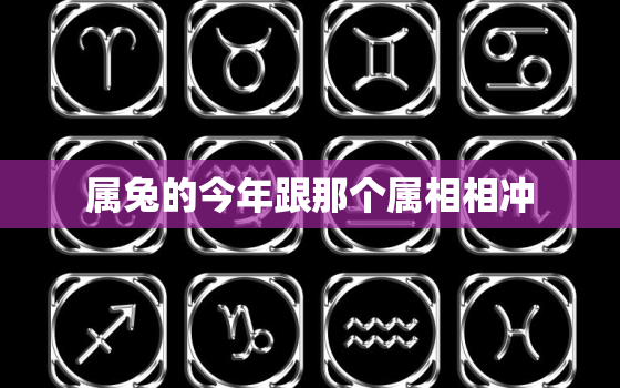 属兔的今年跟那个属相相冲，今年属兔配什么最好