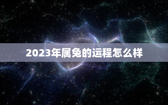 2023年属兔的运程怎么样，2023年属兔人的运势运程