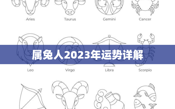 属兔人2023年运势详解，属兔人2023年的运势