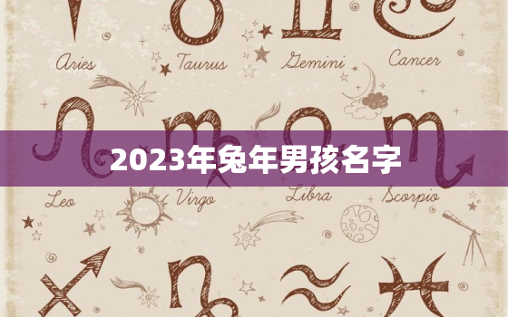 2023年兔年男孩名字，草字头寓意好的男孩的名字