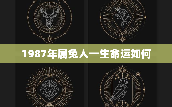 1987年属兔人一生命运如何，1987年属兔一生运势及运程