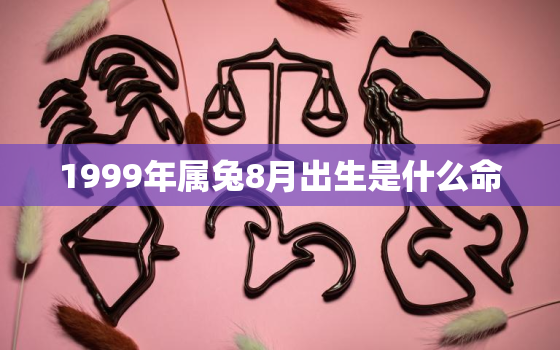 1999年属兔8月出生是什么命，99年8月兔的命运如何