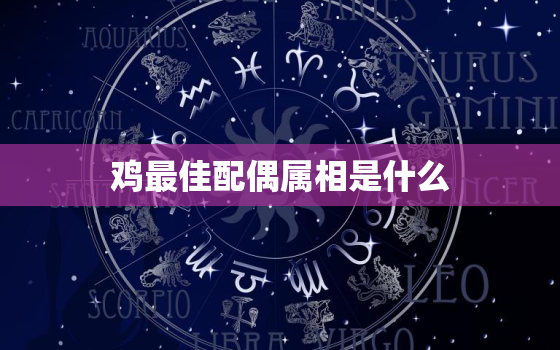 鸡最佳配偶属相是什么，鸡的最佳婚配是什么生肖