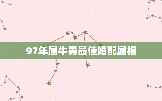 97年属牛男最佳婚配属相，97年属牛男最佳婚配属相是什么