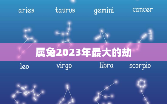 属兔2023年最大的劫，十兔
苦最命苦的兔几月出生