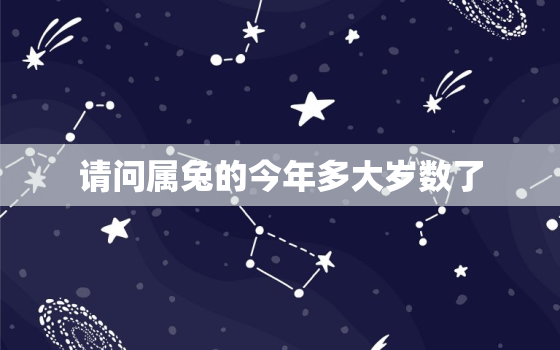 请问属兔的今年多大岁数了，请问属兔的今年多少岁了