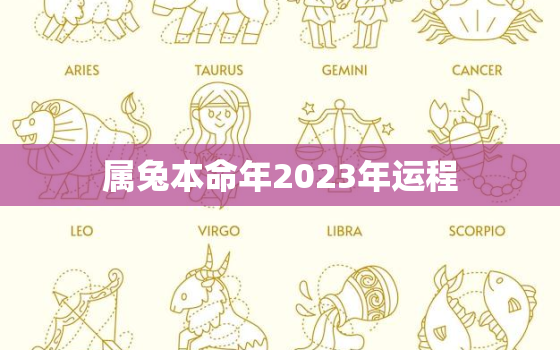 属兔本命年2023年运程，属兔人2022年全年运势运程