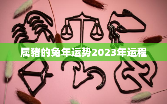 属猪的兔年运势2023年运程，属猪的2023年运势和财运怎么样