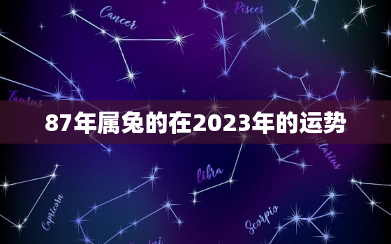 87年属兔的在2023年的运势，87年属兔2023年运势及运程每月