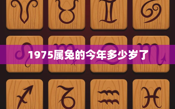 1975属兔的今年多少岁了，1975属兔的今年多少岁了啊