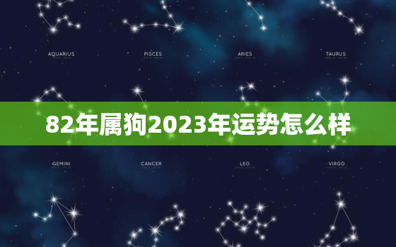 82年属狗2023年运势怎么样，82年属狗男在2022年的运势和财运