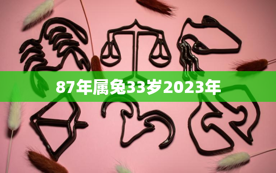 87年属兔33岁2023年，87年属兔2023年全年运势