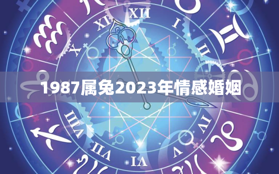 1987属兔2023年情感婚姻，1987年兔女2023年感情与婚姻