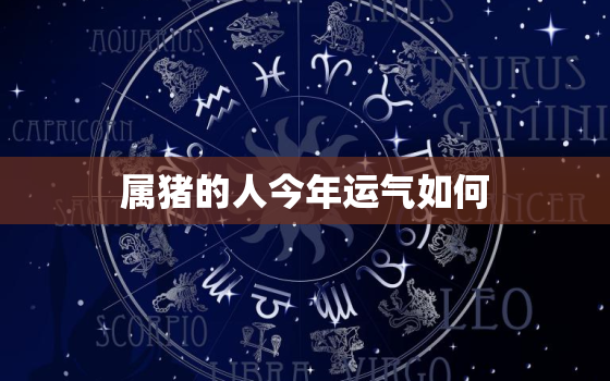 属猪的人今年运气如何，属猪的人今年运势怎么样,2021