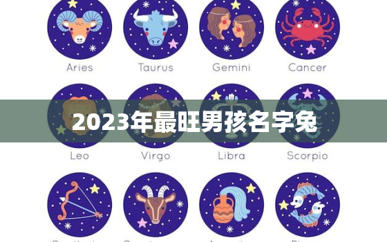 2023年最旺男孩名字兔，2023兔年男孩取什么名字好