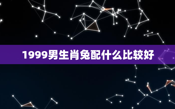 1999男生肖兔配什么比较好，1999男生肖兔配什么比较好命