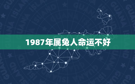 1987年属兔人命运不好，1987年属兔的命运都是这么差吗