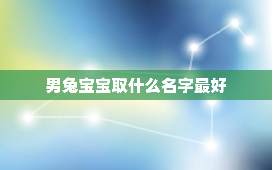 男兔宝宝取什么名字最好，姓孙的兔宝宝取名大全