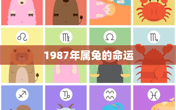 1987年属兔的命运，1987年属兔的命运都是这么差吗