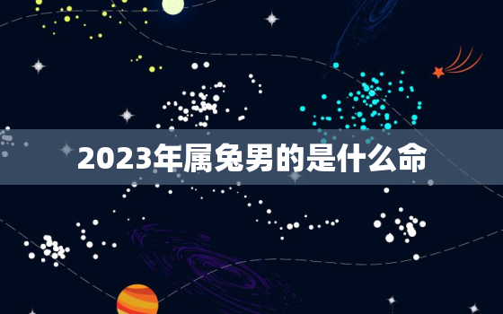 2023年属兔男的是什么命，2023年属兔是什么命运