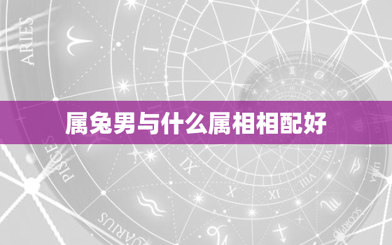 属兔男与什么属相相配好，属兔男和什么属相婚配好