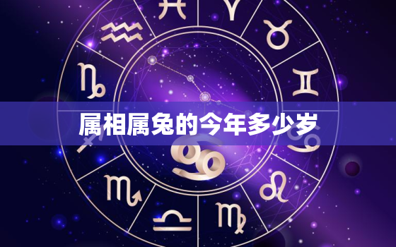 属相属兔的今年多少岁，属兔今年多少岁?