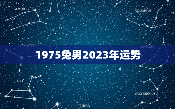 1975兔男2023年运势，2023年属兔男1975人的全年每月