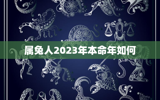 属兔人2023年本命年如何，2023年属兔的本命年好不好