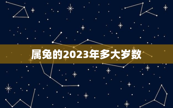 属兔的2023年多大岁数，属兔2023年几岁