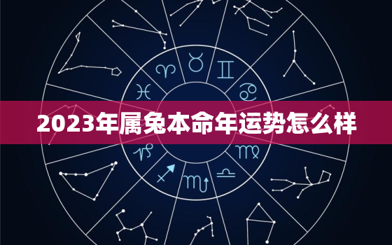 2023年属兔本命年运势怎么样，2023年属兔女本命年运势