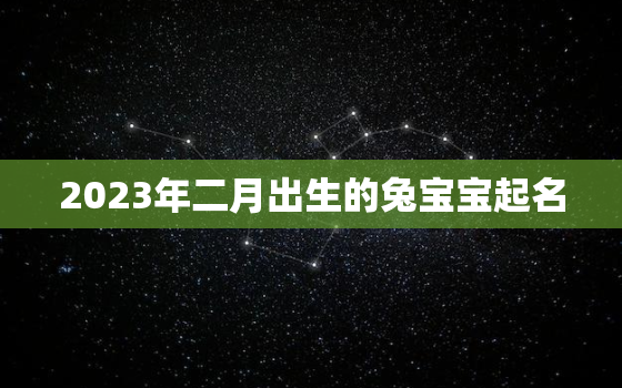 2023年二月出生的兔宝宝起名，2023年2月出生的宝宝是什么命