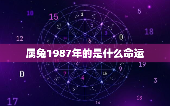 属兔1987年的是什么命运，属兔1987年是什么命人