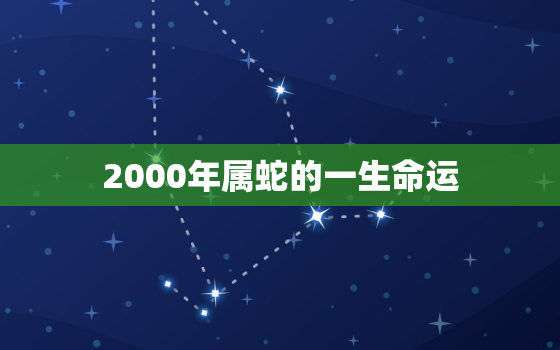 2000年属蛇的一生命运，2000年属蛇的多大年龄