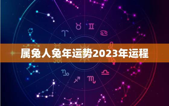 属兔人兔年运势2023年运程，属兔人兔年运势2023运势详解