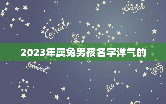 2023年属兔男孩名字洋气的，2023年兔宝宝男孩