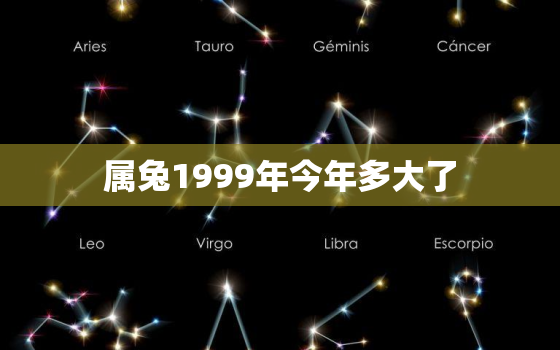 属兔1999年今年多大了，属兔1999的今年多大