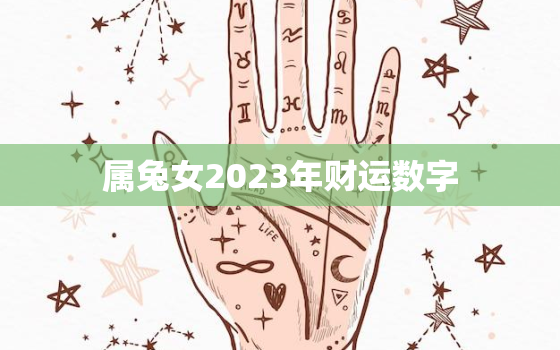 属兔女2023年财运数字，属兔女2023年运势及运程每月运程