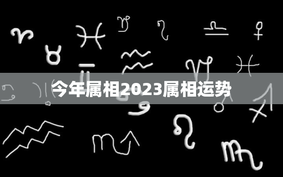 今年属相2023属相运势，生肖运势2023年运势大全每月