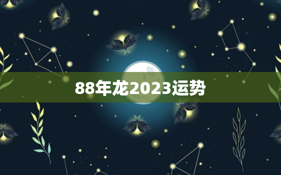 88年龙2023运势，88年龙2023年财运好吗