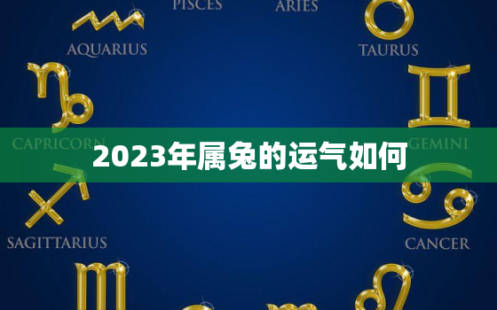 2023年属兔的运气如何，2023年属兔的运势